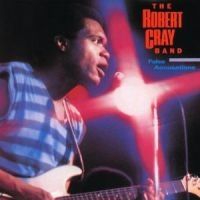 Robert Cray - False Accusations in the group CD / Pop at Bengans Skivbutik AB (614698)