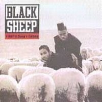 Black Sheep - Wolf In Sheep's Clothing in the group CD / Pop at Bengans Skivbutik AB (620139)