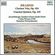 Brahms Johannes - Clarinett Trio & Quintet