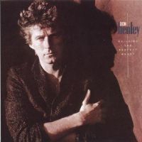 Don Henley - Building The Perfect Beast in the group CD / Pop-Rock at Bengans Skivbutik AB (636653)