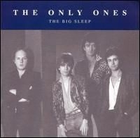 Only Ones - Big Sleep in the group OTHER / Övrigt /  at Bengans Skivbutik AB (643078)