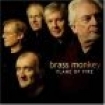 Brass Monkey - Flame Of Fire in the group CD / Elektroniskt at Bengans Skivbutik AB (662518)