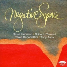 Liebman David - Negative Space