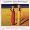 Ladysmith Black Mambazo - And Friends in the group CD / Elektroniskt at Bengans Skivbutik AB (695870)
