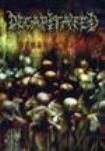 Decapitated - Human's Dust in the group OTHER / Music-DVD & Bluray at Bengans Skivbutik AB (884974)