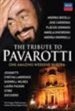 Blandade Artister - Pavarotti Memorial Concert in the group OTHER / Music-DVD & Bluray at Bengans Skivbutik AB (888855)
