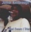 Kimbrough Junior - God Knows I Tried