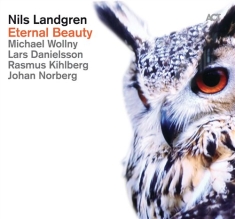 Nils Landgrenmichael Wollny Johan - Eternal Beauty