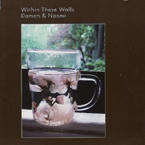 Damon And Naomi - Within These Walls