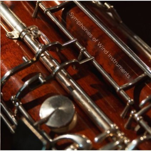 Royal Norwegian Navy Band - Symphony Of Wind Instruments