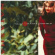 Oldfield Sally - Natasha Oldfield Sally - Natasha