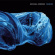 Michael Gordon - Rushes Michael Gordon - Rushes
