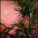 Beaty Heart - Mixed Blessings (Vinyl) Beaty Heart - Mixed Blessings (Vinyl)