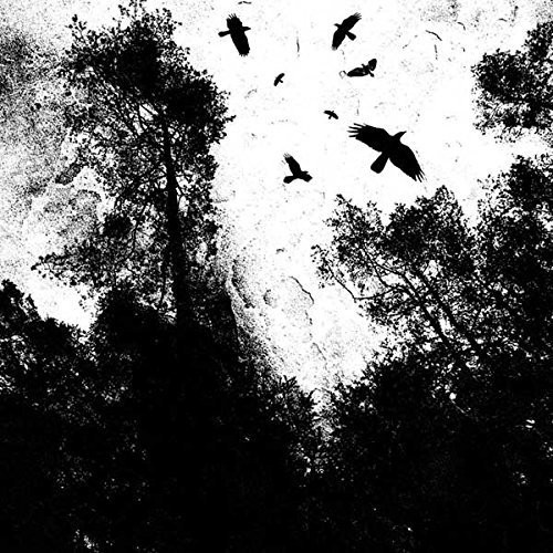 Autumns Dawn - Gone