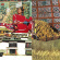 Flamingods - Hyperborea Flamingods - Hyperborea