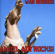 Blandade Artister - War Horses! Blandade Artister - War Horses!