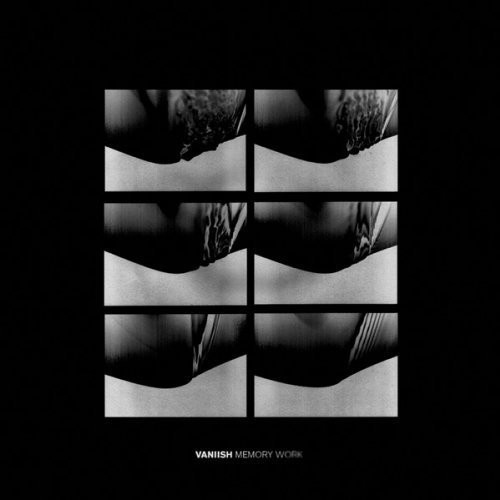 Vaniish - Memory Work (Vinyl)