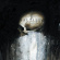 Saltillo - Monocyte (Lp + 7 Saltillo - Monocyte (Lp + 7