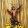 !!! (Chk Chk Chk) - As If !!! (Chk Chk Chk) - As If