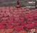 Bach J S - Goldberg Variations Bach J S - Goldberg Variations