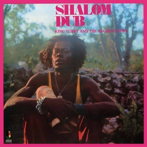 King Tubby And The Aggrovators - Shalom Dub