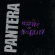 Pantera - History Of Hostility Pantera - History Of Hostility