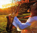 Lederer Jeff - Sunwatcher Lederer Jeff - Sunwatcher