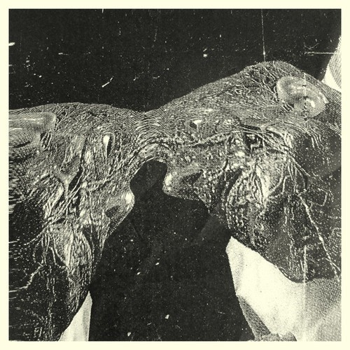Secret Boyfriend - Memory Care Unit