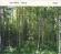 Jon Balke - Warp Jon Balke - Warp