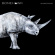 Bonehawk - Albino Rhino Bonehawk - Albino Rhino