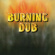 REVOLUTIONARIES - BURNING DUB REVOLUTIONARIES - BURNING DUB