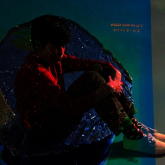 Whyte Horses - Pop Or Not