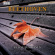Beethoven - Piano Sonatas Op. 31 Beethoven - Piano Sonatas Op. 31