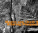 Orelli Marco Von - Alluring Prospect Orelli Marco Von - Alluring Prospect