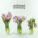 Northbound - Death Of A Slug Northbound - Death Of A Slug