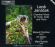 Ulf Wallin Roland Pöntinen Mats R - Janacek: Chamber Music For Violin, Ulf Wallin Roland Pöntinen Mats R - Janacek: Chamber Music For Violin,