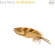 Various - Early Music For Meditation Various - Early Music For Meditation