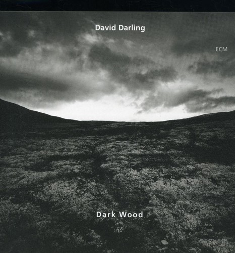 Darling David - Dark Wood