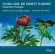 Rutter John/Members Of Cambri - Flora Gave Me Fairest Flowers Rutter John/Members Of Cambri - Flora Gave Me Fairest Flowers