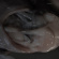 Croatian Amor - Love Means Taking Action Croatian Amor - Love Means Taking Action