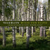 Hanspeter Oggier Ensemble Fratres - Music For Flute Hanspeter Oggier Ensemble Fratres - Music For Flute