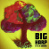 Big Harp - It's A Shame Big Harp - It's A Shame