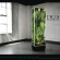 Twin Atlantic - Vivarium Twin Atlantic - Vivarium