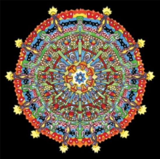 Of Montreal - Hissing Fauna, Are You The Des