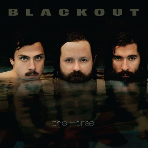 Blackout - Horse