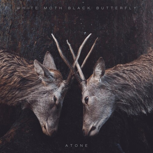 White Moth Black Butterfly - Atone