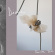 Diana - Familiar Touch Diana - Familiar Touch