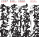 Conrad Bauer Peter Kowald Günter - Between Heaven And Earth Conrad Bauer Peter Kowald Günter - Between Heaven And Earth