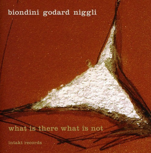 Biondini - Godard - Niggli - What Is There What Is Not