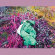 Dreamdecay - N V N V N V Dreamdecay - N V N V N V